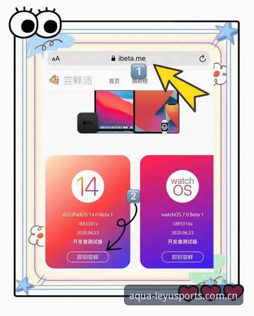 乐鱼体育平台iOS版界面使用完整指南：从安装到深度体验的全流程解析