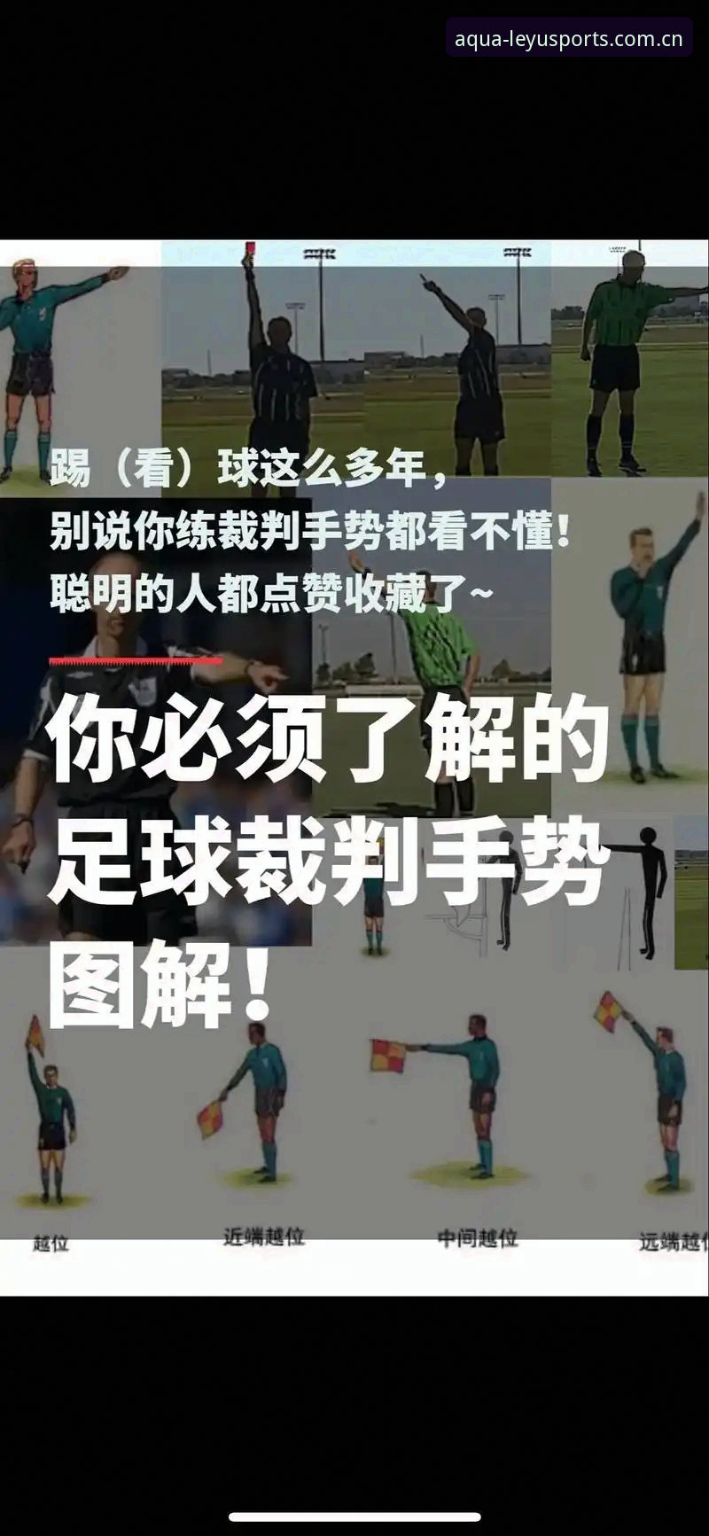 乐鱼体育平台观赛指南：世界杯签证危机下的约旦球迷操作教程